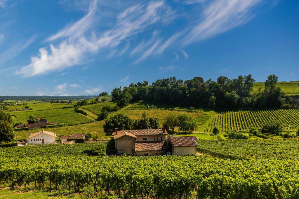 Wijngaarden Bordeaux Frankrijk