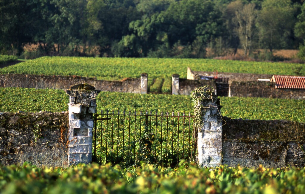 Cave SVS et Pé