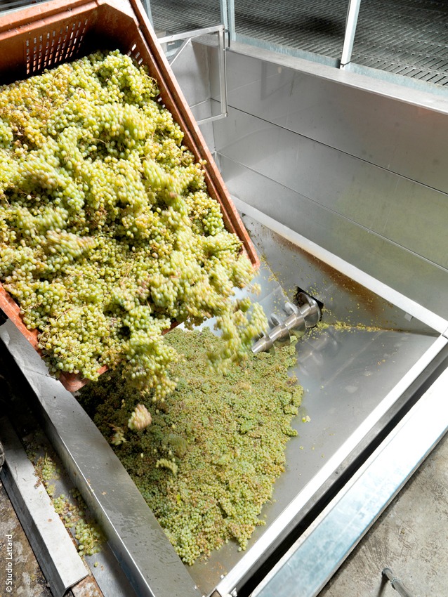 La clairette de Die : méthodes de vinification