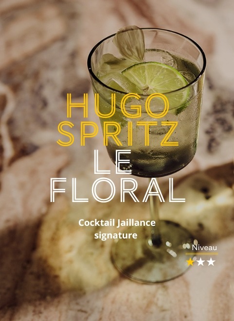 Shooting hugo spritz 1 1 Cocktail recipes by Jaillance