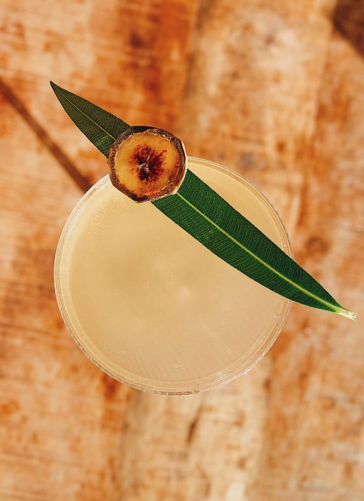 Shooting lagoon 2 Les recettes de cocktails par Jaillance