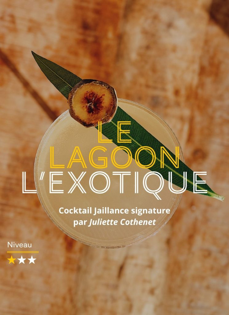 Shooting lagoon Les recettes de cocktails par Jaillance