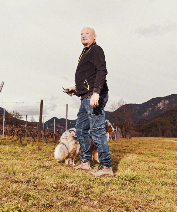 Jaillance - Patrick Berthet